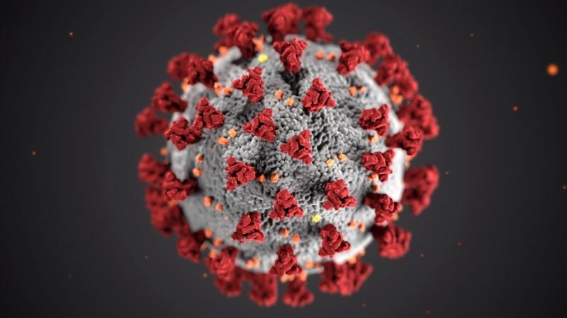 Coronavirus and the Au Pair program